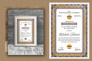 Pro Certificates