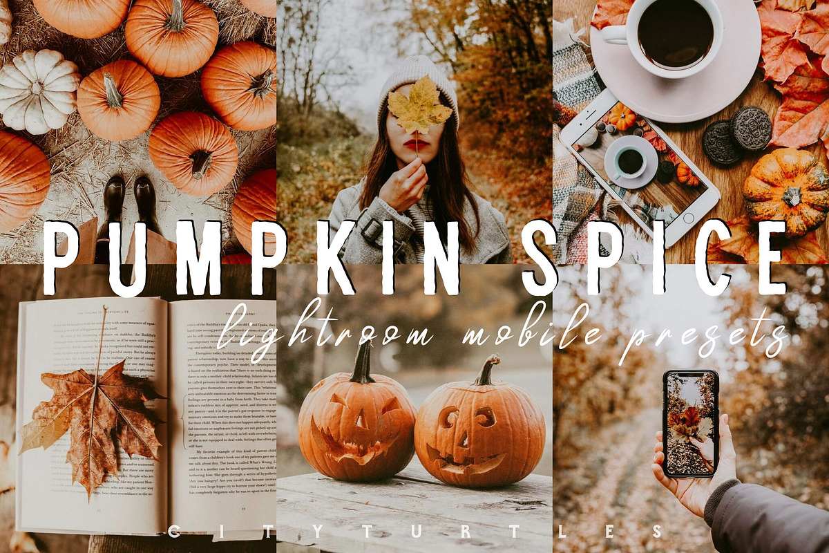 Moody PUMPKIN SPICE Mobile Presets in Add-Ons - product preview 8