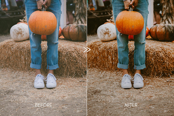 Moody PUMPKIN SPICE Mobile Presets in Add-Ons - product preview 1