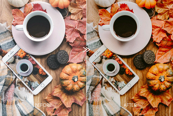 Moody PUMPKIN SPICE Mobile Presets in Add-Ons - product preview 5