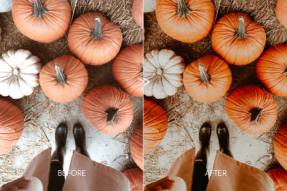 Moody PUMPKIN SPICE Mobile Presets in Add-Ons - product preview 6