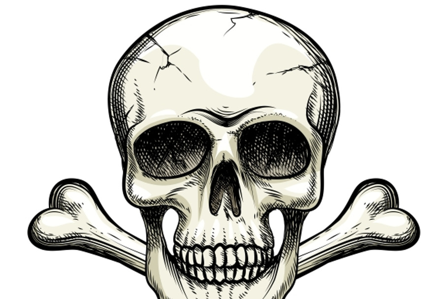 Skull and crossbones in Graphics - product preview 8