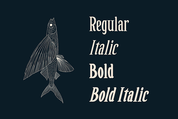 Golden Cape Font + Bonus in Serif Fonts - product preview 1