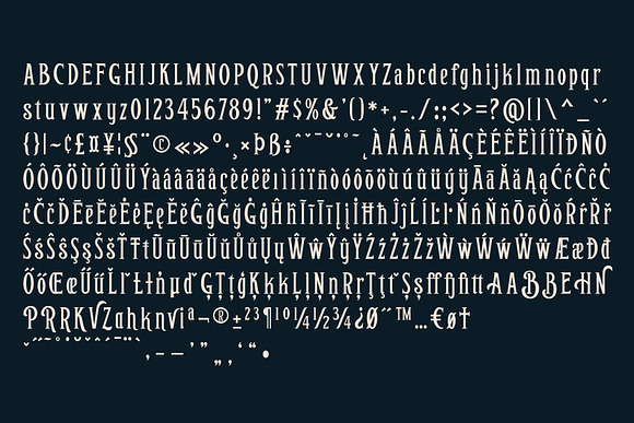 Golden Cape Font + Bonus in Serif Fonts - product preview 5