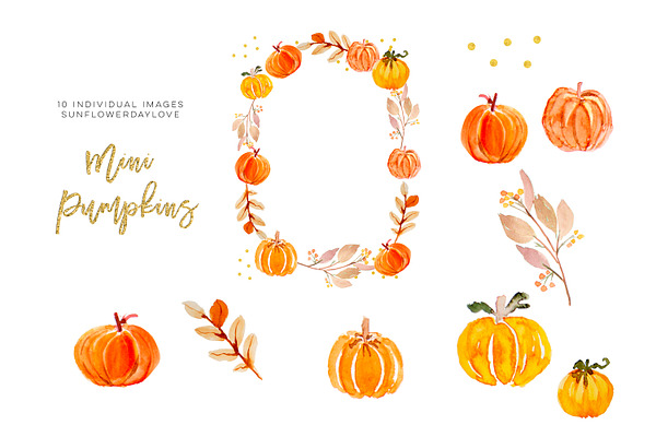 Thanksgiving clipart, Mini Pumpkins
