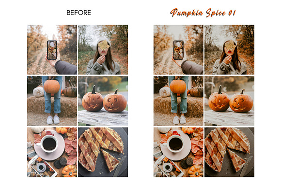 Moody PUMPKIN SPICE Mobile Presets in Add-Ons - product preview 7