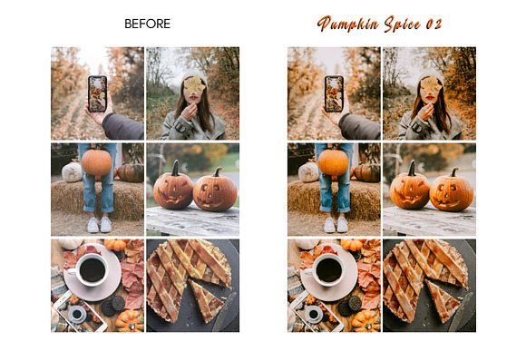 Moody PUMPKIN SPICE Mobile Presets in Add-Ons - product preview 8