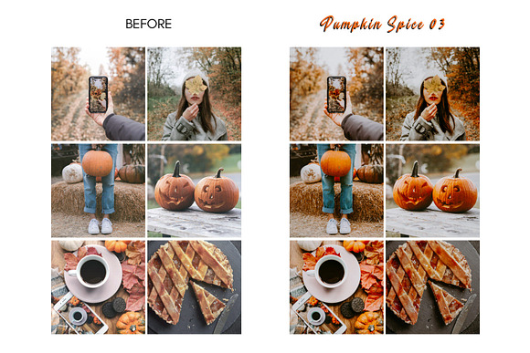 Moody PUMPKIN SPICE Mobile Presets in Add-Ons - product preview 9