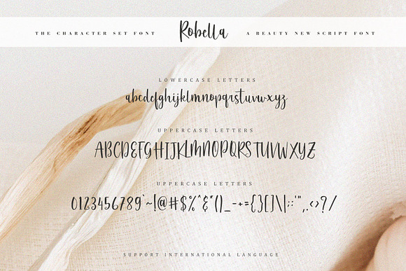 Robella // A Beauty Script Font in Script Fonts - product preview 5