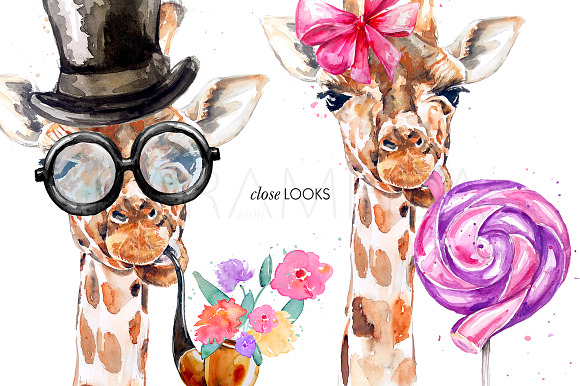 Giraffes in Illustrations - product preview 4