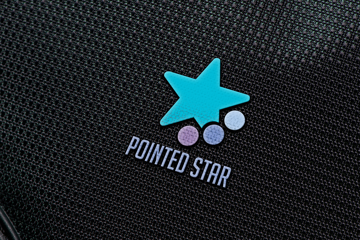 Star in Logo Templates - product preview 8