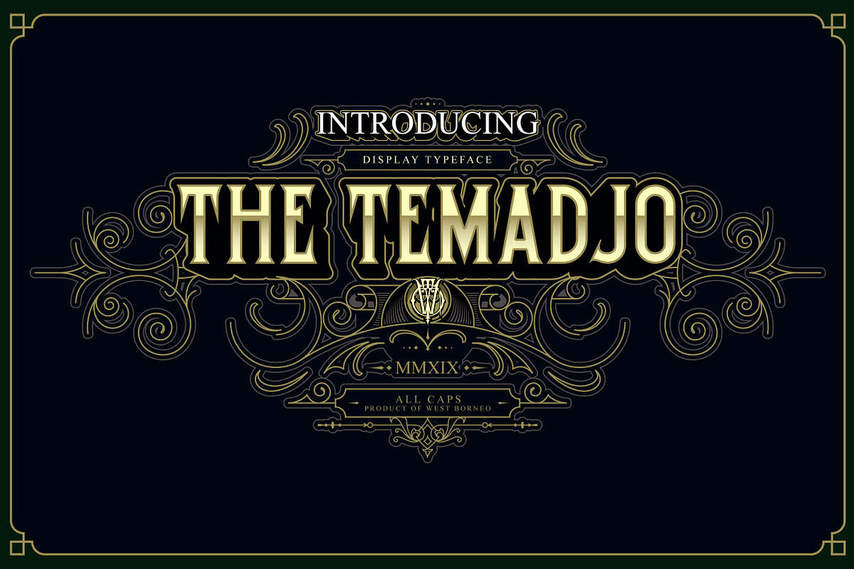 Temadjo in Display Fonts - product preview 8
