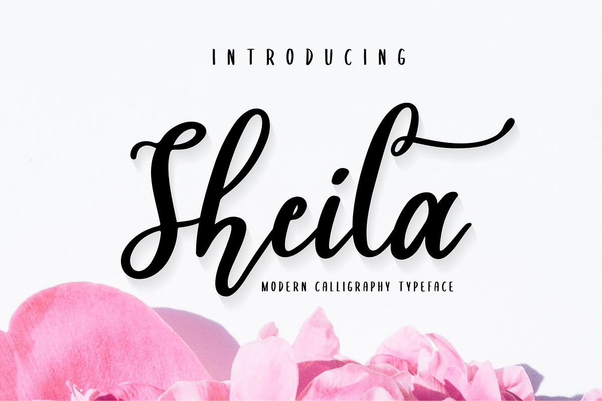 Sheila Script in Script Fonts - product preview 8