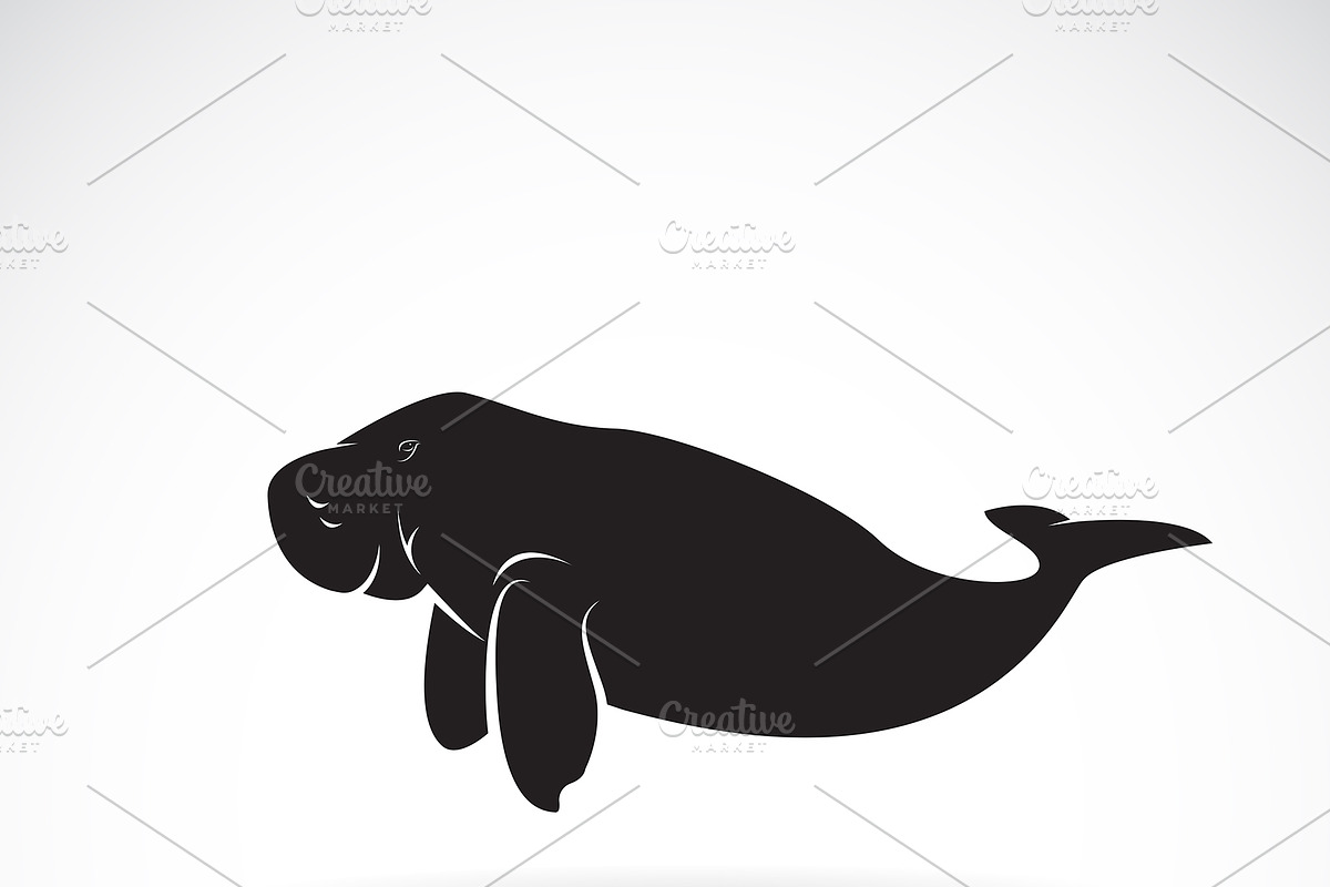 Vector of dugong design. Animal. in Icons - product preview 8