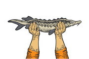 Hands with fish engraving vector