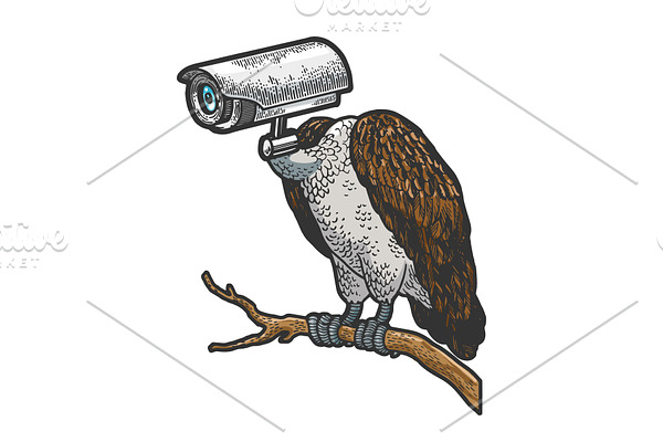 Griffin vulture camera head vector