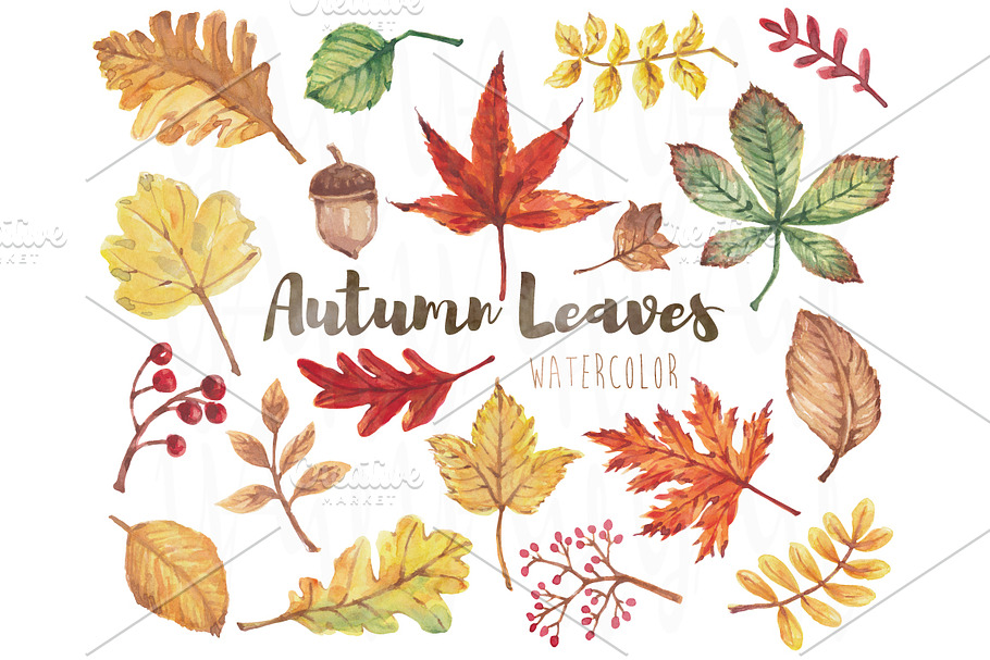 Watercolor Autumn Leaves Set