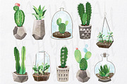 Cactus Watercolor Collections Set