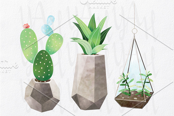 Cactus Watercolor Collections Set in Illustrations - product preview 1