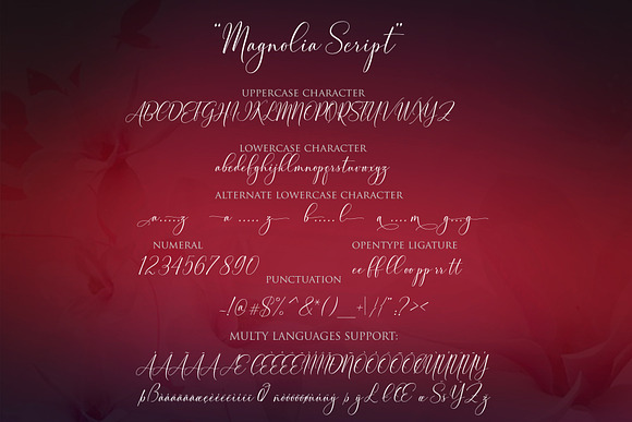 Magnolia Modern Script in Script Fonts - product preview 6