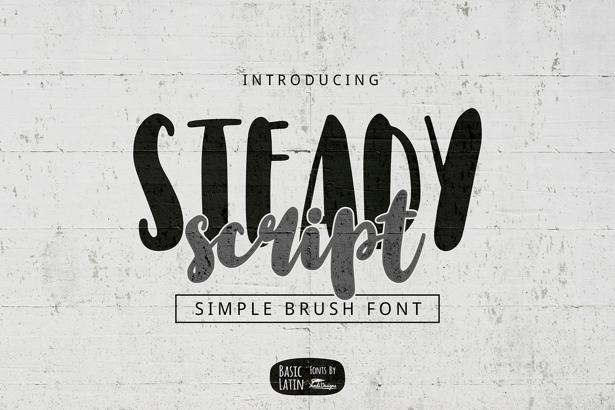 Steady Script in Script Fonts - product preview 8
