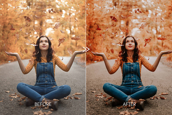 Rich Mood APPLE CIDER Mobile Presets in Add-Ons - product preview 2