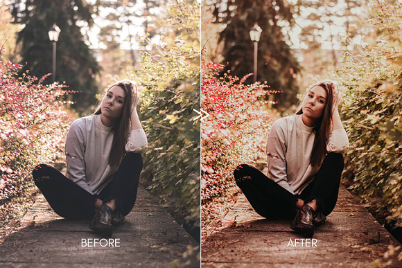 Rich Mood APPLE CIDER Mobile Presets in Add-Ons - product preview 5