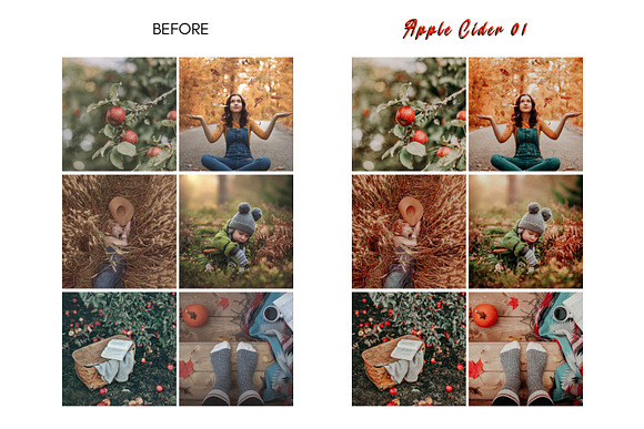 Rich Mood APPLE CIDER Mobile Presets in Add-Ons - product preview 6