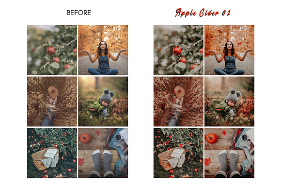 Rich Mood APPLE CIDER Mobile Presets in Add-Ons - product preview 7