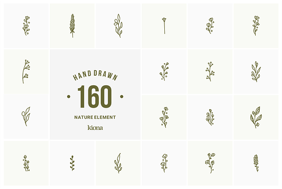 hand drawn natural element in Illustrations - product preview 11