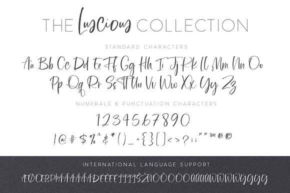 The Luscious Font Collection in Script Fonts - product preview 18