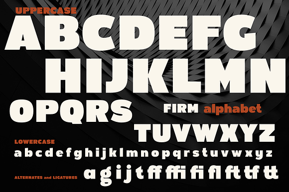 Firm in Sans-Serif Fonts - product preview 6