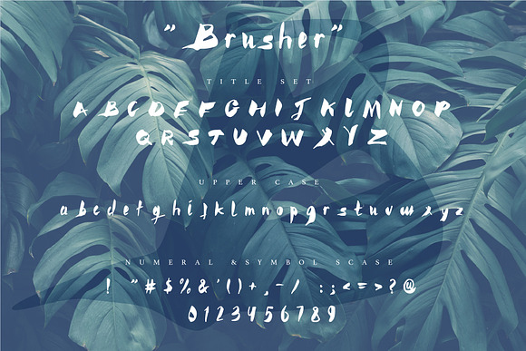 Brusher font in Script Fonts - product preview 2