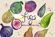 Figs. Watercolor Clip Art.