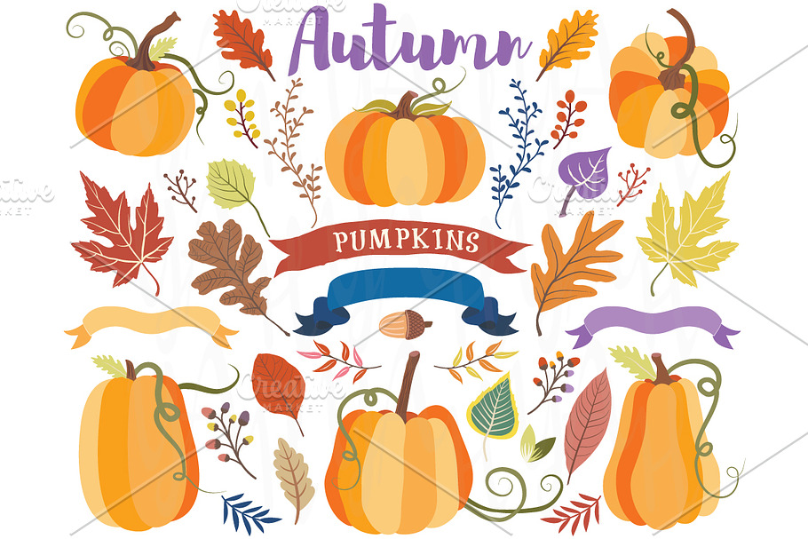 Autumn Pumpkin Collections