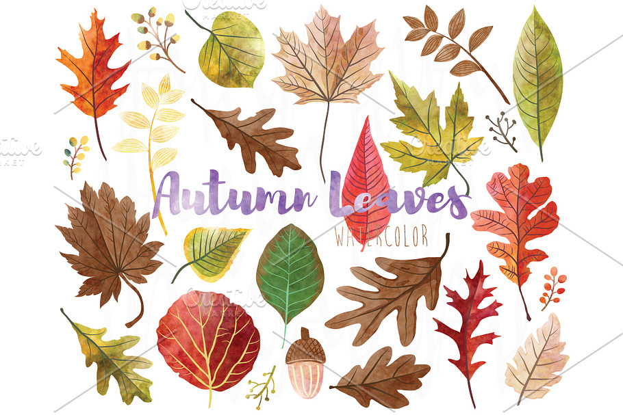 Watercolor Fall Leaves Collections in Graphics - product preview 8