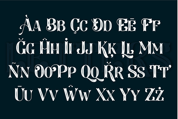 Larson Display Font in Display Fonts - product preview 5