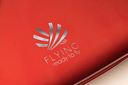 Flying Logo