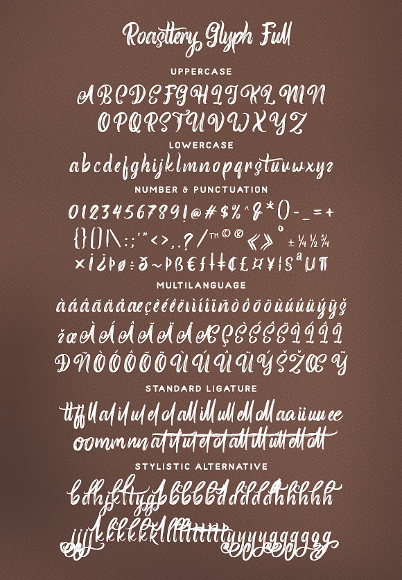 Roasttery - Handwritten Font in Script Fonts - product preview 9