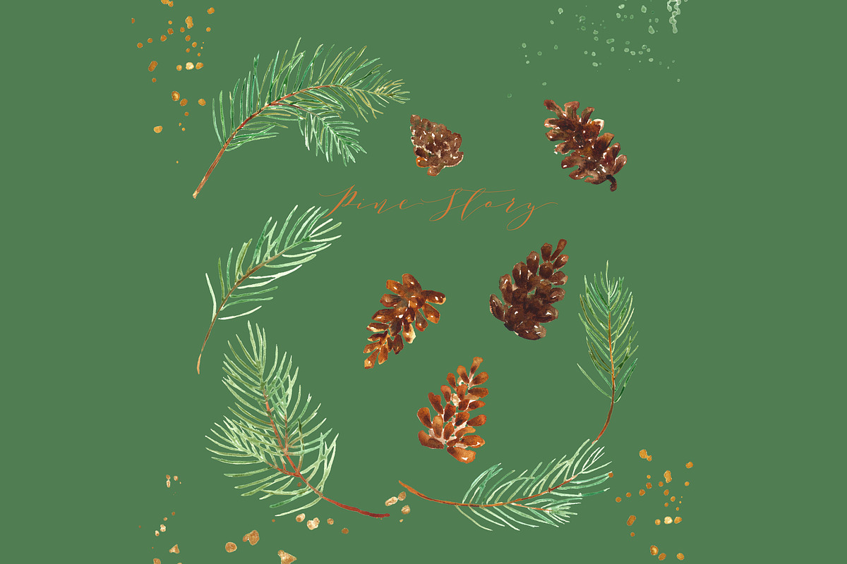 Pine branches. Watercolor Clipart. in Illustrations - product preview 8