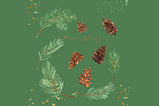 Pine branches. Watercolor Clipart.