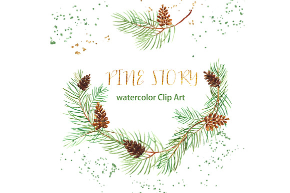Pine branches. Watercolor Clipart. in Illustrations - product preview 1