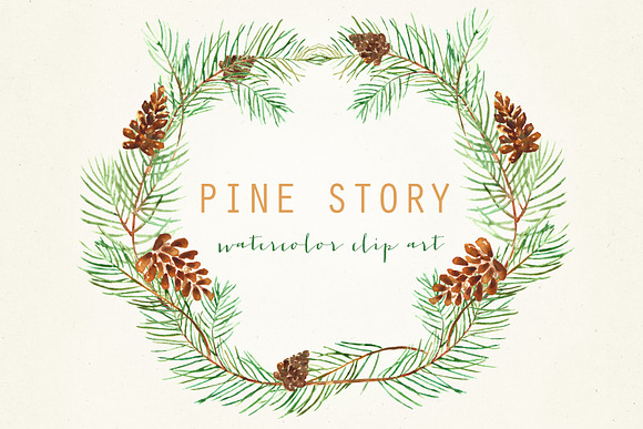 Pine branches. Watercolor Clipart. in Illustrations - product preview 2