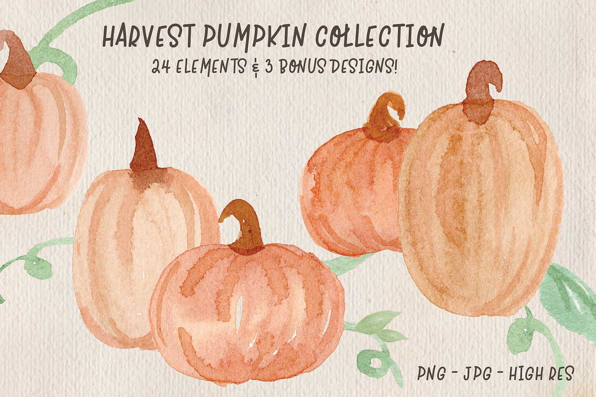 Harvest Pumpkin Clip Art in Illustrations - product preview 8