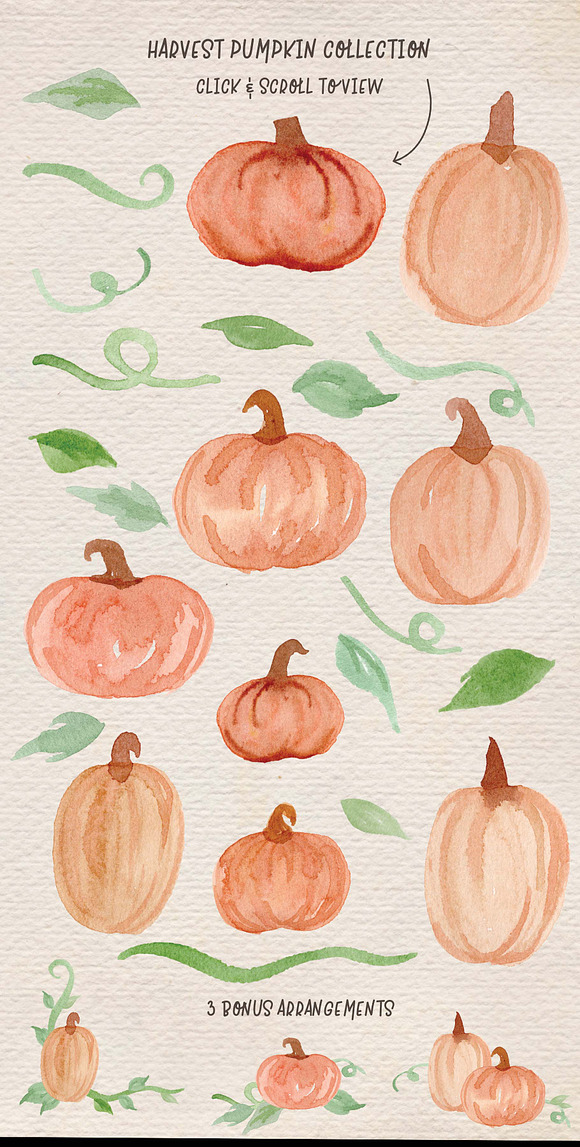 Harvest Pumpkin Clip Art in Illustrations - product preview 2