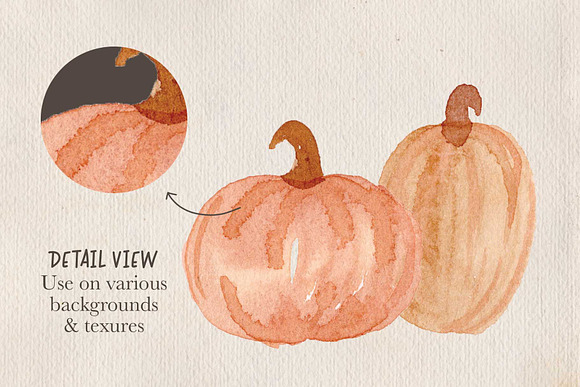 Harvest Pumpkin Clip Art in Illustrations - product preview 3