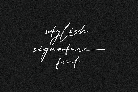 Sign Style | Signature font in Signature Fonts - product preview 11