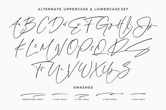 Sign Style | Signature font in Signature Fonts - product preview 13