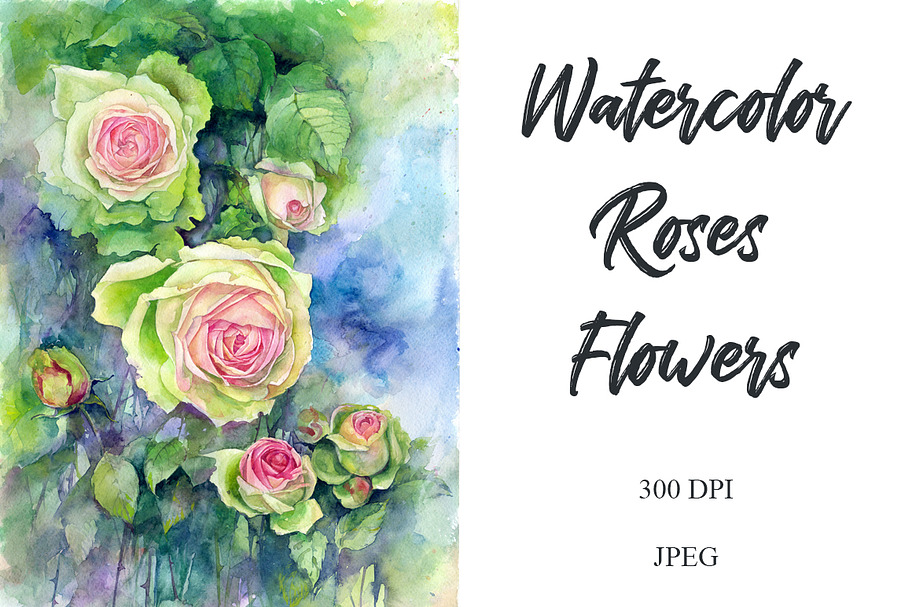 Watercolor green pink roses flowers