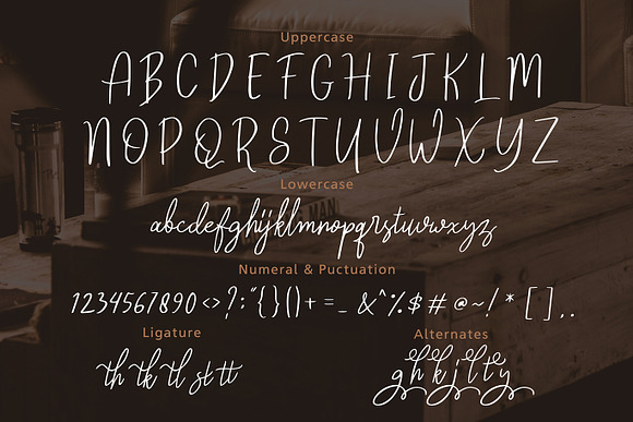 Reghina - Beautiful Feminine Script in Script Fonts - product preview 3